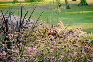 Floral landscaping design in city park. Blossoming colorful flowers, planted trees and lawn in...