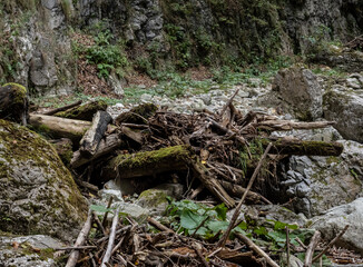 Fototapeta na wymiar Image from Cheile Oltetului gorge, Polovragi, Gorj, Romania