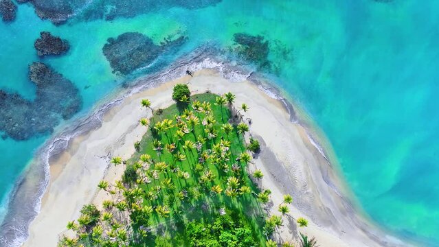 Aerial view of tropical sea and beach landscape for travel - holiday vacation concept. A paradise island with coconut palms and turquoise Caribbean Sea. Destination. Tropical resort with sandy beach.