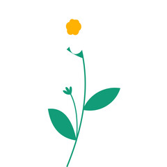 Obraz premium Hand Draw Spring Flower