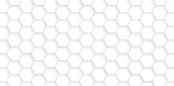 Abstract hexagon geometric surface. Modern white and grey hexagonal background. Luxury white pattern. Vector Illustration. © Aquarium