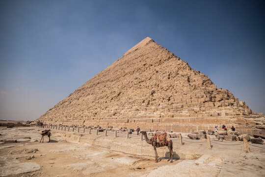 Camello junto a una pir&aacute;mide, Egipto