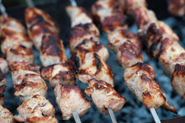 Lots of metal skewers with meat cooking on coals. Cooking pork barbecue.