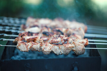 Lots of metal skewers with meat cooking on coals. Cooking pork barbecue.