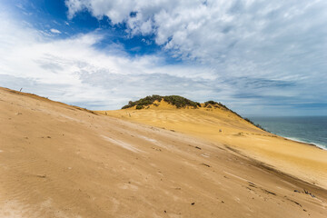 Panorama of Sand Dune at Carlo Sand Blow and Rainbow Beach, Queensland, Australia.