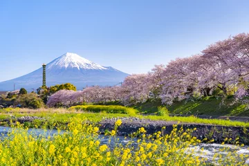 Fototapeten 静岡県富士市　龍巌淵の桜と富士山 © あんみつ姫