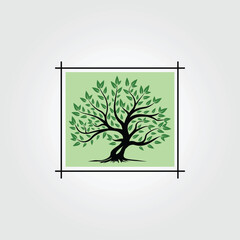 natural oak tree vintage logo icon badge, illustration design of oak tree with leaves, financial business symbol