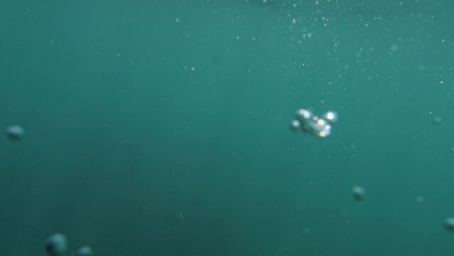 Ocean surface shot: camera's plunge and ascent emulate a cry for rescue.