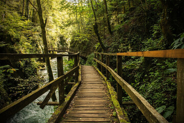 A wooden walkway next to the Kamacnik River in Kamacnik Kanjon, Primorje-Gorski Kotar County, north...