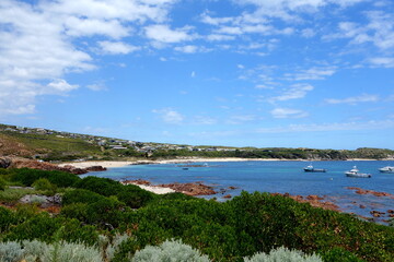 Fototapeta premium Gracetown Bay with bushes and cloudy sky