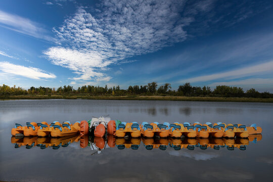 Row of pedalo boats in a lake, Alberta, Canada
