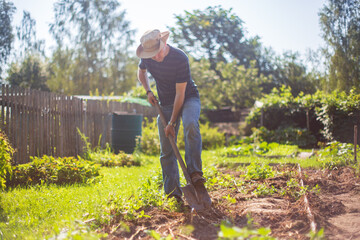 The farmer digs the soil in the vegetable garden. Preparing the soil for planting vegetables. Gardening concept. Agricultural work on the plantation