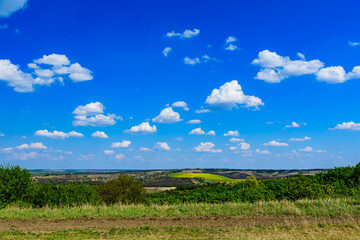Green forest and fields under the blue sky. Summer landscape