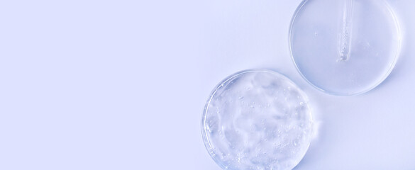 glass pipette serum gel closeup in petri dish on a light background with space for text