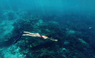 Naklejka na ściany i meble female snorkeling in flipper discover aquatic life in Bali during leisure time