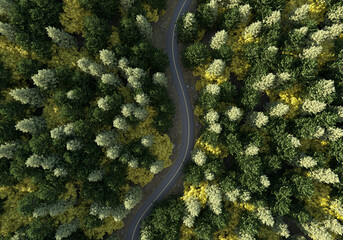 A view of a forest highway surrounded by pine trees, concepts of green environmental protection. 3D rendering.