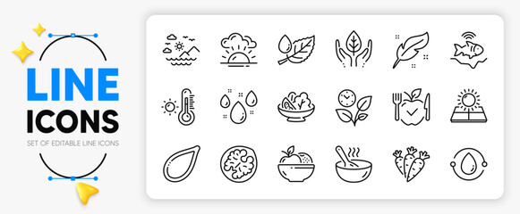 Sun energy, Pumpkin seed and Fruits line icons set for app include Vegetarian food, Cold-pressed oil, Leaves outline thin icon. Fishfinder, Salad, Walnut pictogram icon. Fair trade. Vector