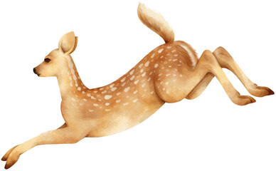 Deer forest animals Watercolor illustration