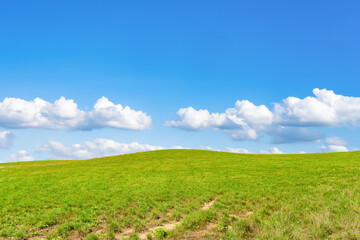 夏の北海道美瑛・富良野　牧草地