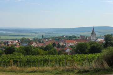 Fototapeta na wymiar Vineyard with beautiful historical classical architecture of south moravian region in Czechia. Wine making in Pavlov near Pálava hill.