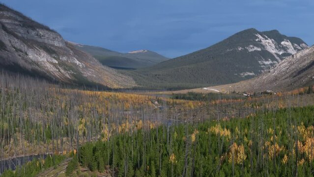 The Red Deer River flows out of the Rocky Mountains meandering through a forest of evergreen and deciduous trees during autumn making a beautiful shot.