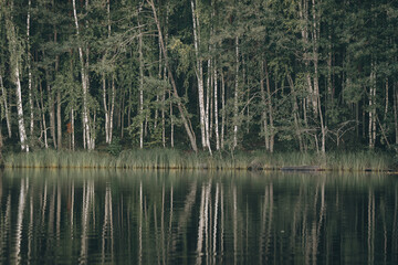 beautiful forest lake with reflections in water - retro vintage effect