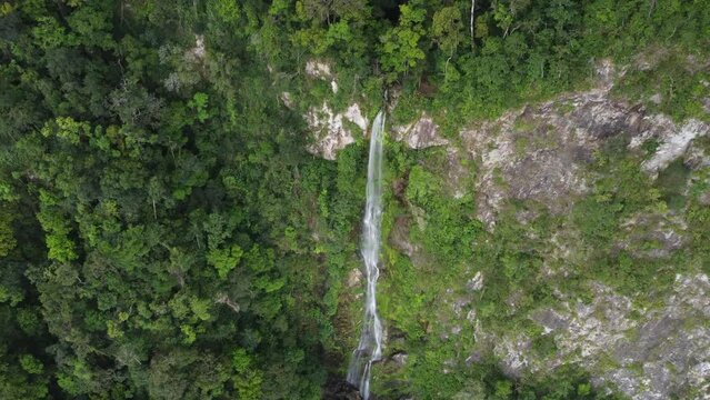 Aerial tilt: Cascada el Bejuco waterfall on jungle cliff in Honduras