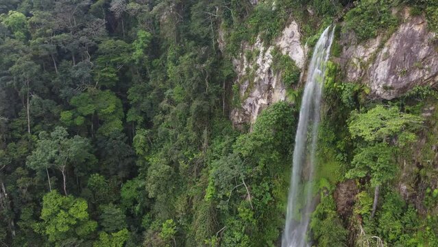 Aerial orbits free fall waterfall in wild Honduras, Cascada el Bejuco