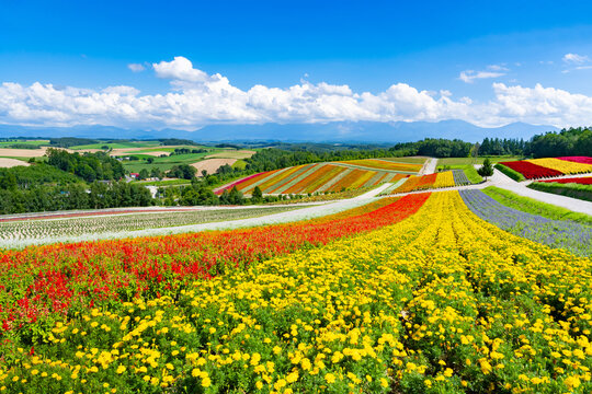 日本风景」の写真素材 | 3,143,999件の無料イラスト画像 | Adobe Stock