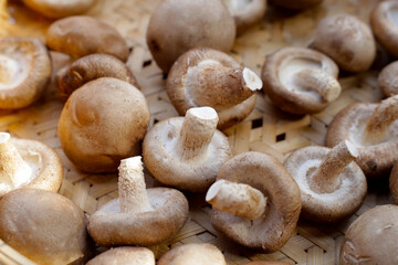 Fresh shiitake mushrooms in bamboo weave plate