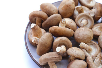 Fresh shiitake mushrooms on white background.