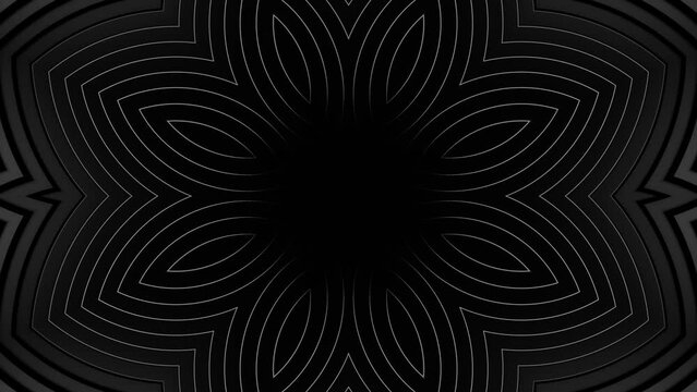 Black and white photo of flower with black background. Kaleidoscope VJ loop.