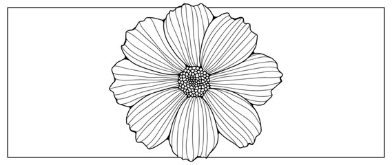 Black outline hand drawn daisy flower