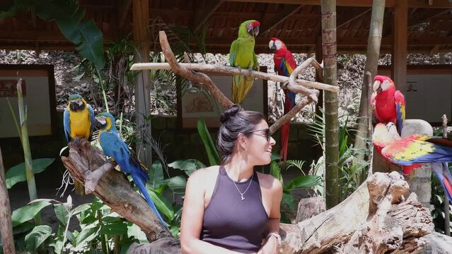 Pretty Hispanic woman surrounded by colorful Macaw parrots in Honduras