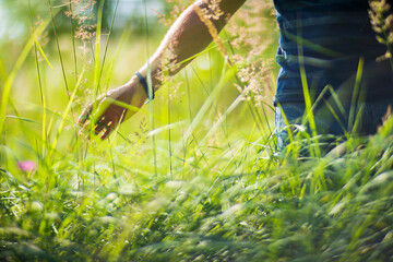 A man's hand touches a tree branch with foliage. Caring for the environment. The ecology the concept of saving the world and love nature by human