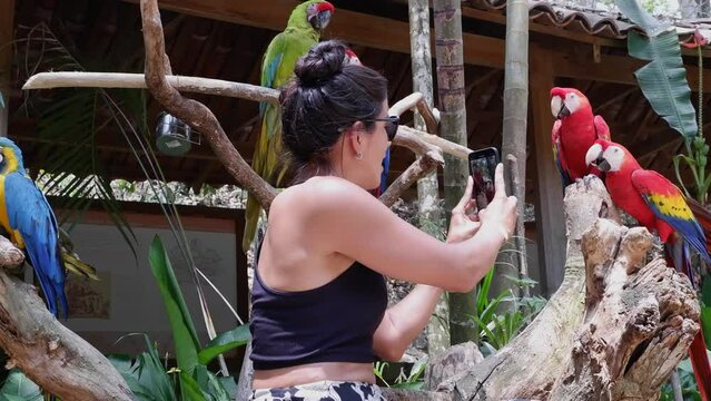Young woman takes close-up photo of Macaw parrots with smart phone