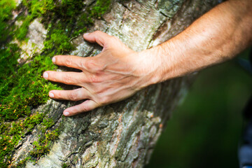 A man's hand touch the tree trunk close-up. Bark wood.Caring for the environment. The ecology concept of saving the world and love nature by human