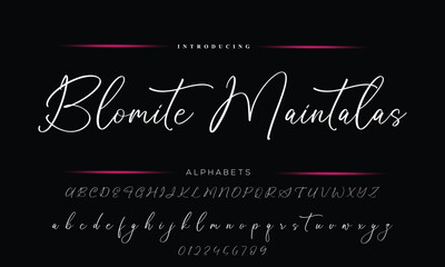Fototapeta na wymiar Hand drawn vector alphabet. Script font. Isolated letters written with marker, ink. Calligraphy, lettering.