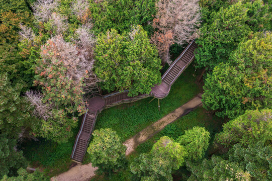Kam, Hungary - Aerial view about the Jeli Arboretum canopy walkway