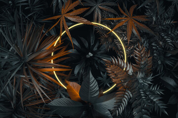 Glowing circle shape over tropical plants. Flat lay of minimal nature style concept