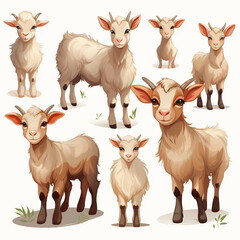 Sheep set. Cartoon illustration of sheep vector set for web design