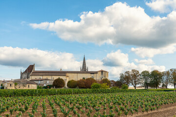 Fototapeta na wymiar Vineyards of Saint Emilion, Bordeaux, Gironde, France. Medieval church in old town and rows of young vines on a grape field. Wine industry. Agriculture and farming concept