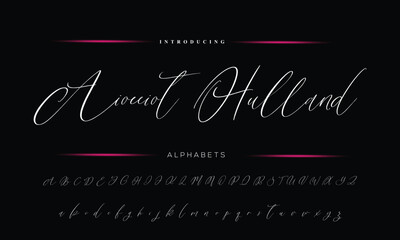 Fototapeta na wymiar Signature Font Calligraphy Logotype Script Font Type Font lettering handwritten