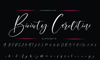 Fototapeta na wymiar Signature Font Calligraphy Logotype Script Font Type Font lettering handwritten
