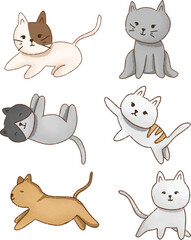 various cat posing and various type
