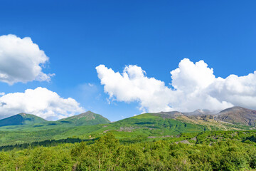 夏の北海道美瑛・富良野　望岳台の風景