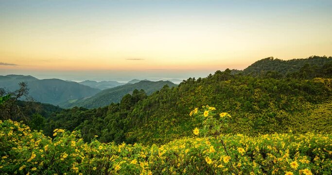 Light from the sun and shadows from the clouds across the mountain range At Bua Tong Field, Doi Mae Ukho, Mae Hong Son, Thailand