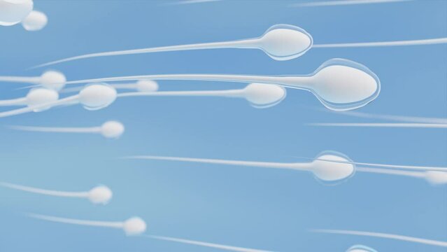 Human sperm cells, 3d rendering.
Spermatozoa movement on a blue background with the camera moving to the right