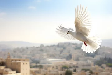 Foto op Plexiglas A white peace dove flying against a blue sky above a middle east city © ink drop