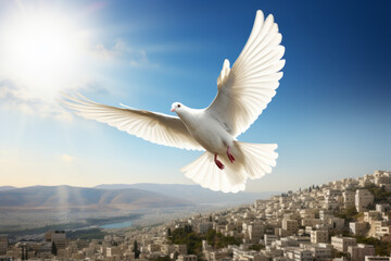 A white peace dove flying against a blue sky above a middle east city - obrazy, fototapety, plakaty